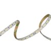 IP65-24V 5 METER 5050/60 10MM-4736