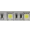 IP65-24V 5 METER 5050/60 10MM-4734