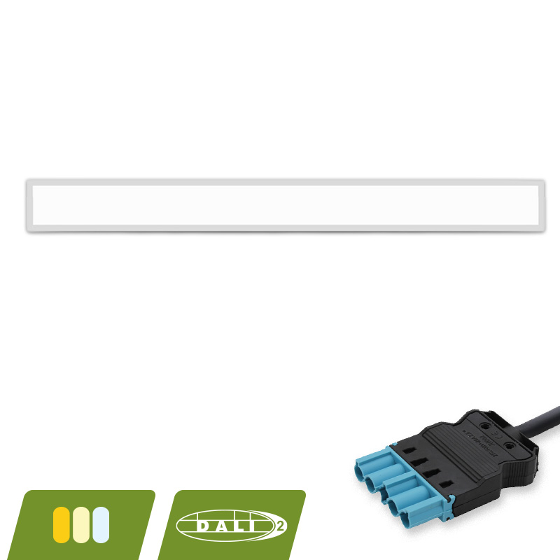 PONTUS15012-DD-SW